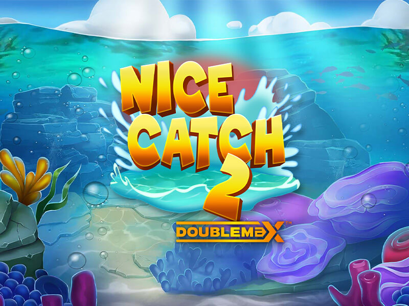 Logo Ocean Warriors - Nice Catch 2 Doublemax